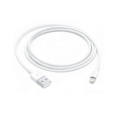 Apple Lightning to USB cable 1m