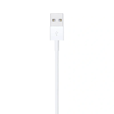 Apple Lightning to USB cable 1m