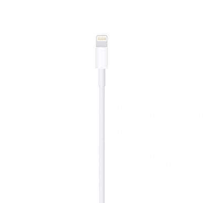 Apple Lightning to USB cable 1m